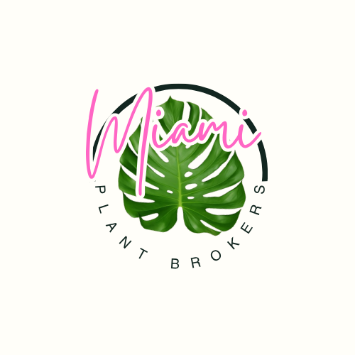 Miami Plant Brokers